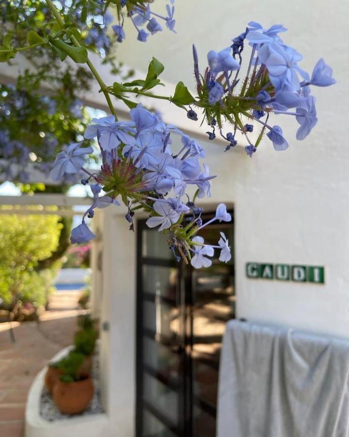 La Careza De - Adults Only Gasthuis