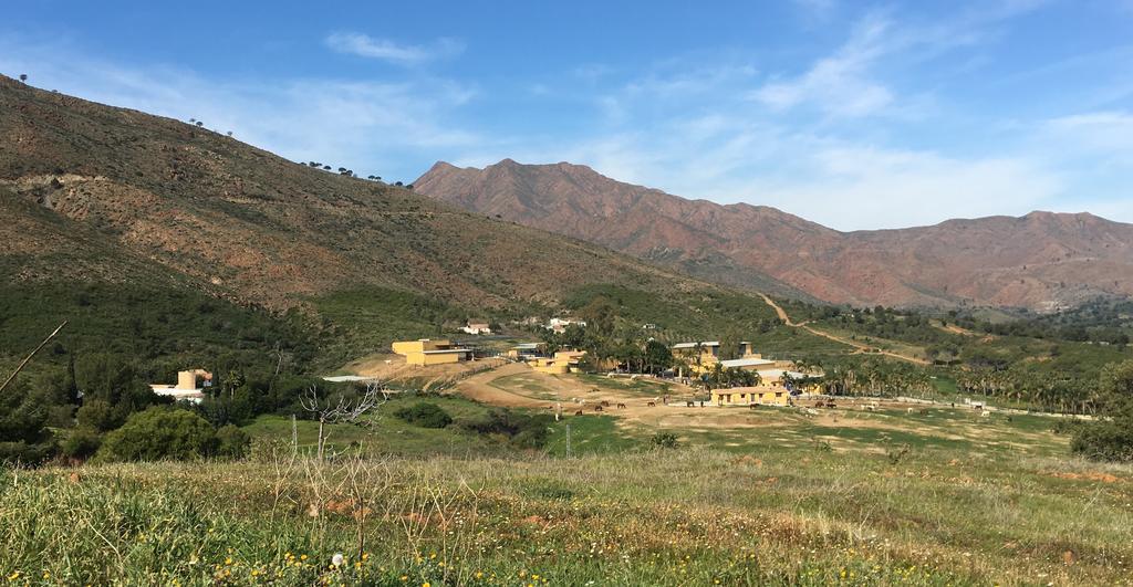 La Careza De - Adults Only Affittacamere Mijas